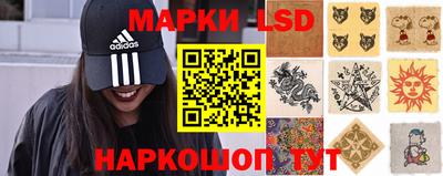 spice Кунгур