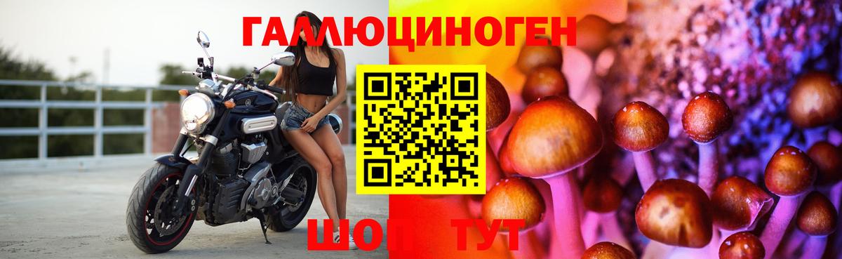 Псилоцибиновые грибы Psilocybe  Вход с VPN  Псилоцибиновые грибы GOLDEN TEACHER  Таганрог 